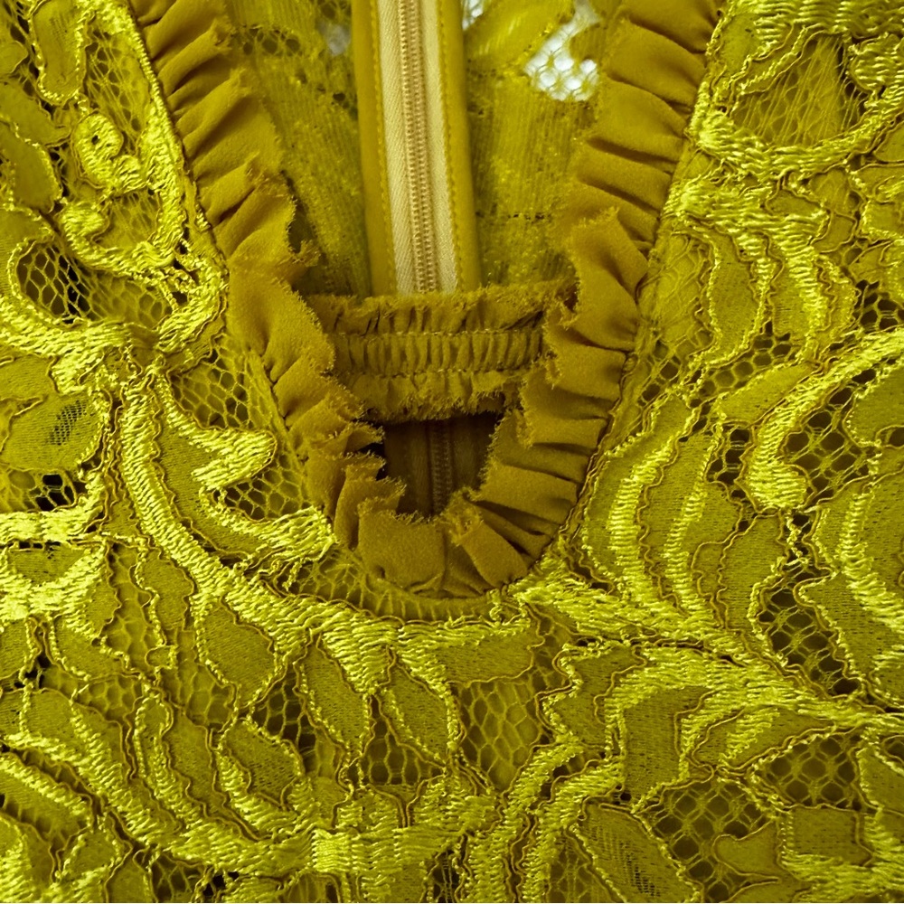 Alexis Nuray mini dress - Picture 9 of 10